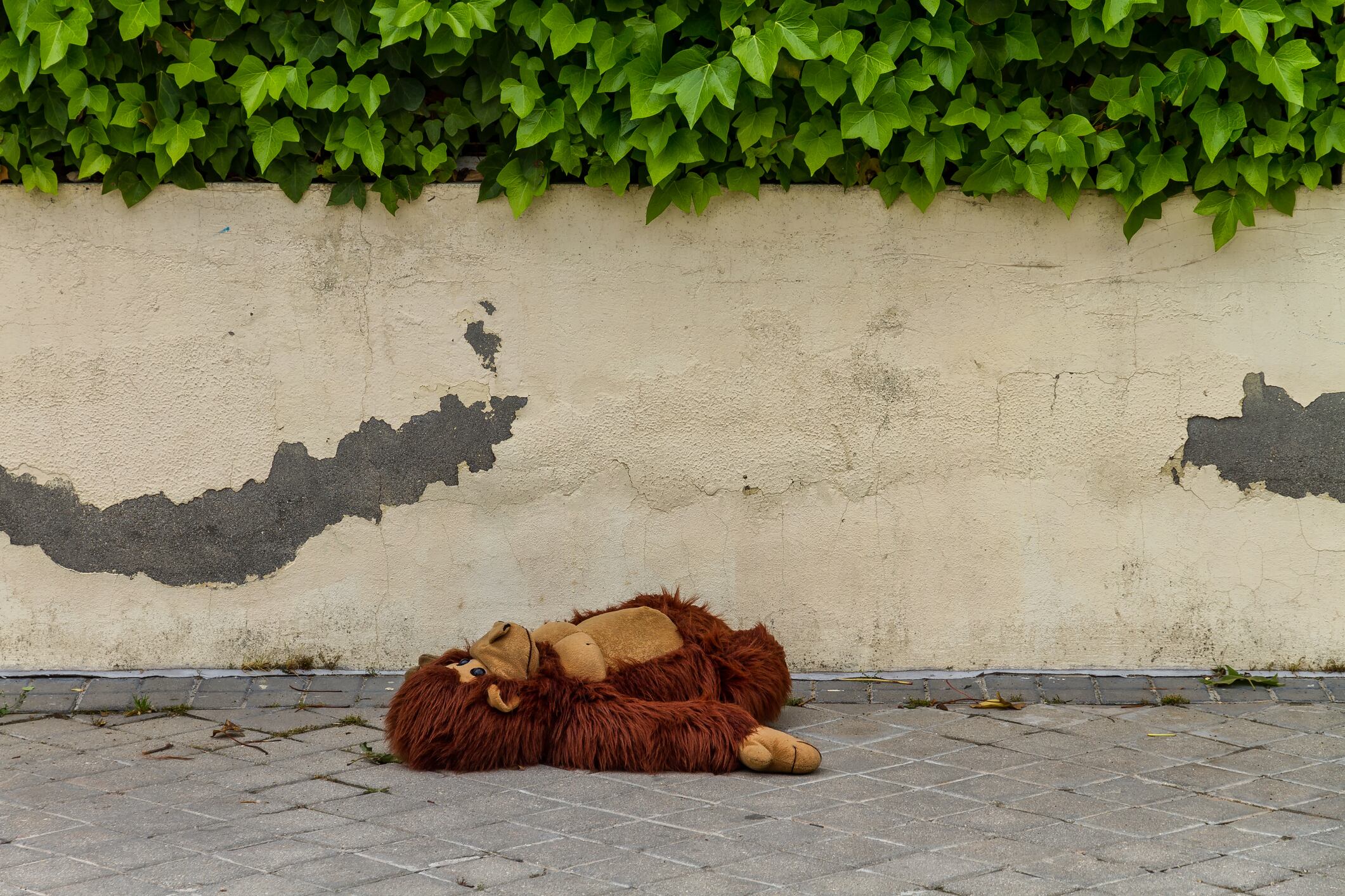 Imagen de referencia.