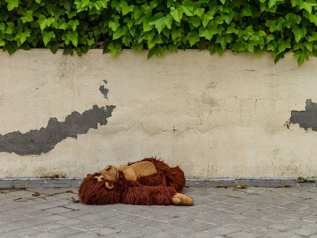 Imagen de referencia.