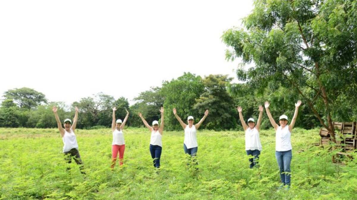 Hills Garden