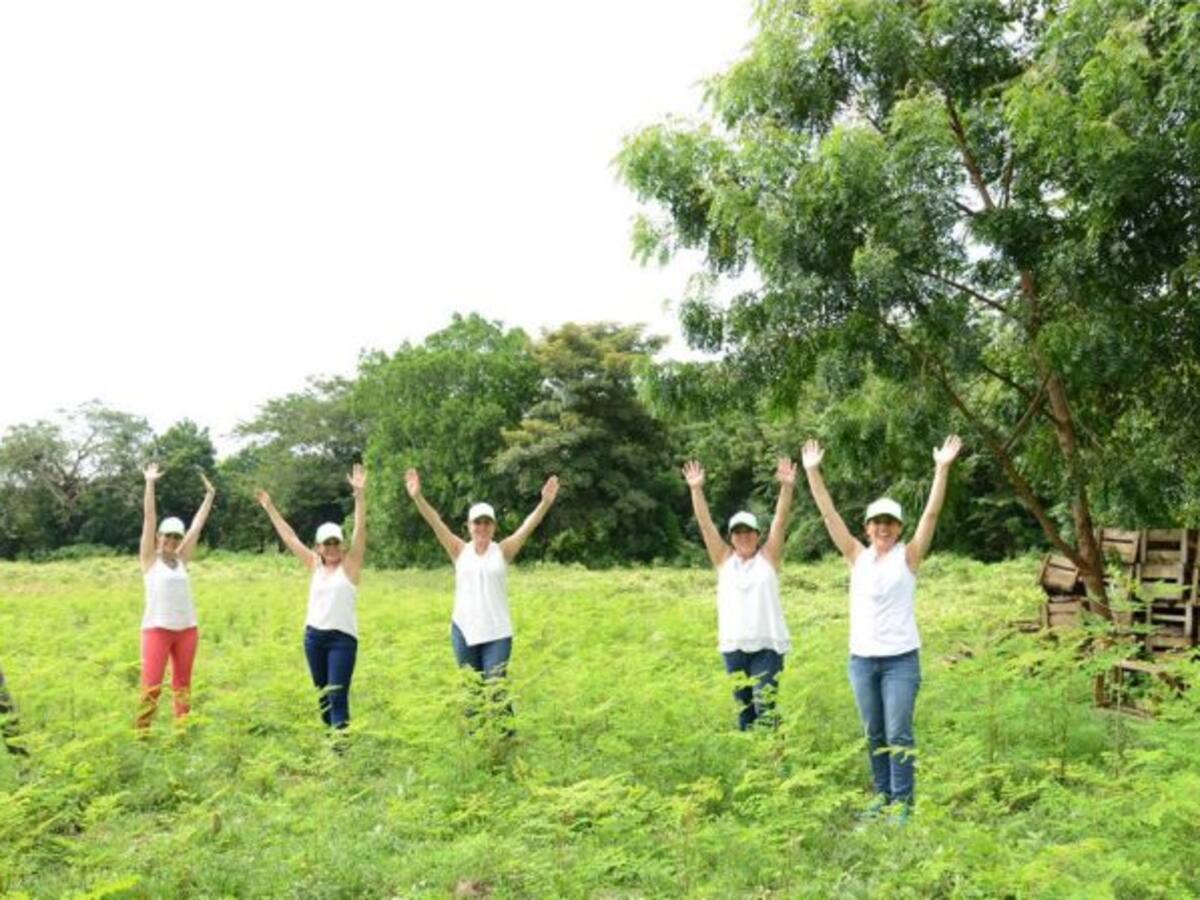 Hills Garden: de la naturaleza a su piel