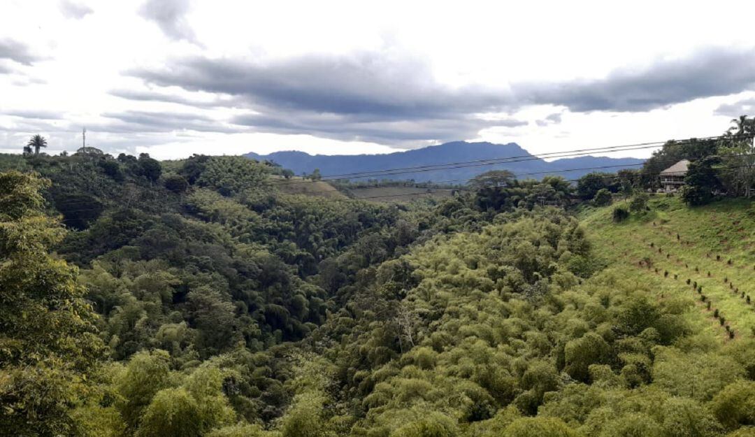 Hermosos paisajes desde el municipio de Quimbaya, Quindío