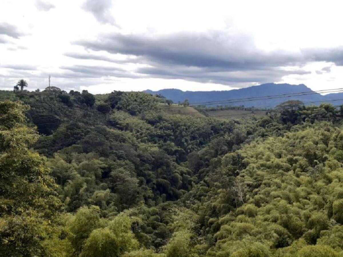 Las noticias más importantes de Armenia y el Quindío, jueves 28 de enero