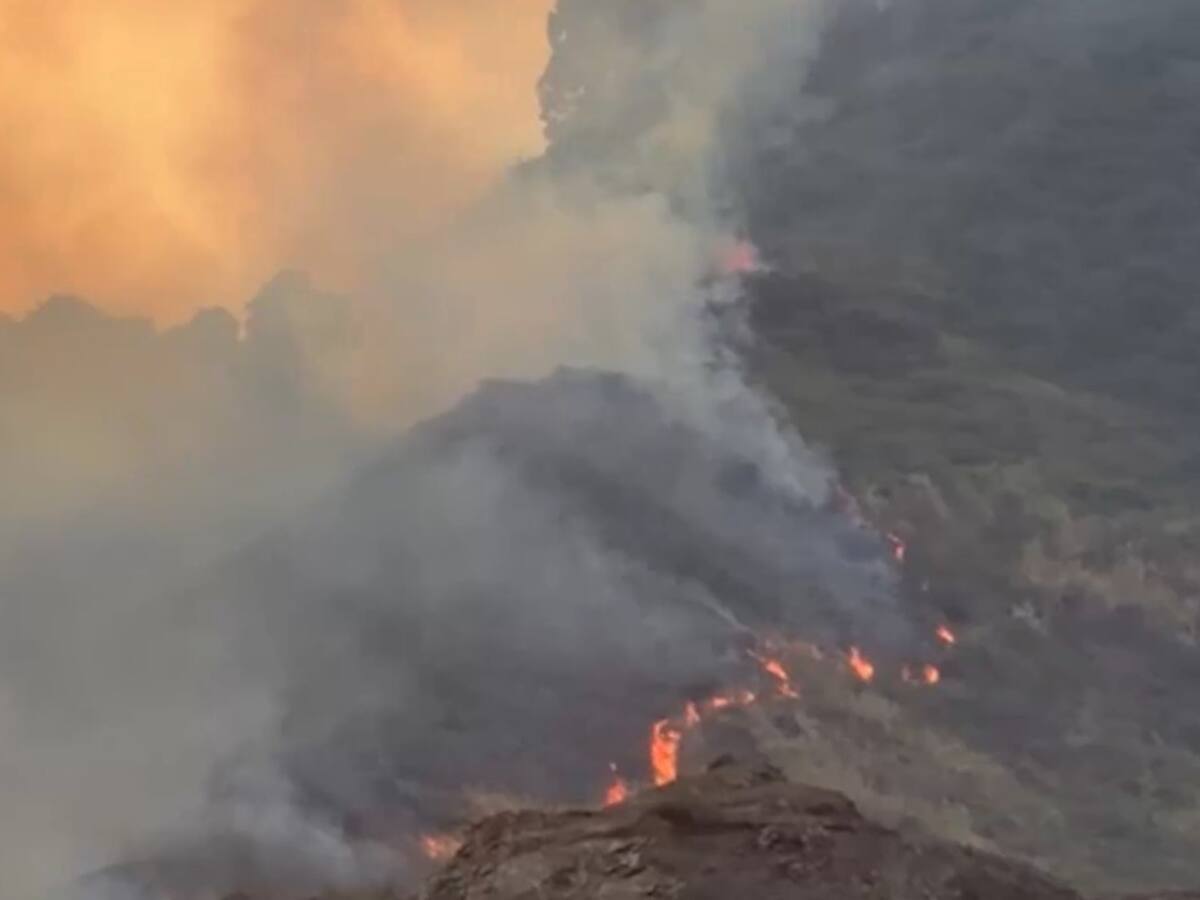 Incendio forestal en Yumbo afecta más de 587 hectáreas: ahora es subterráneo y se reactivó un foco