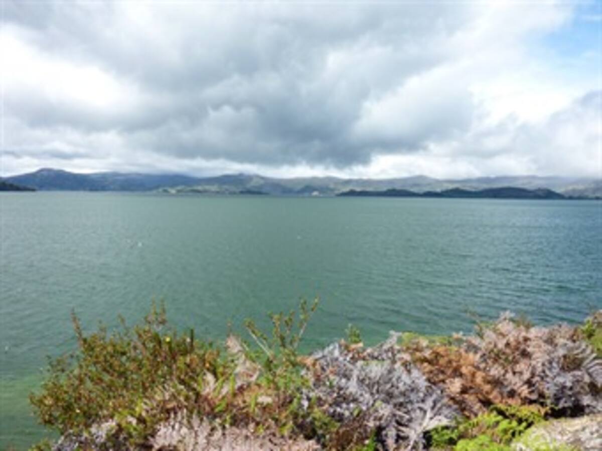 Lago de Tota entra en recuperación