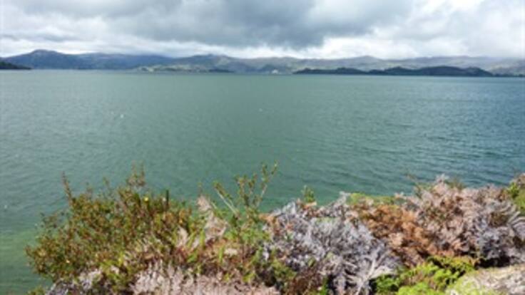 Lago de Tota entra en recuperación