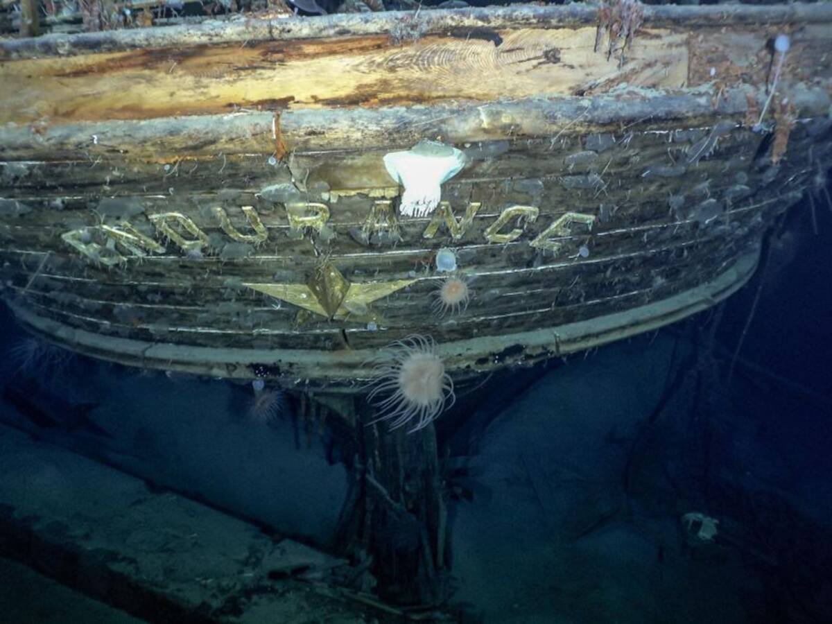 Hallan legendario barco Endurance en el fondo de la Antártida