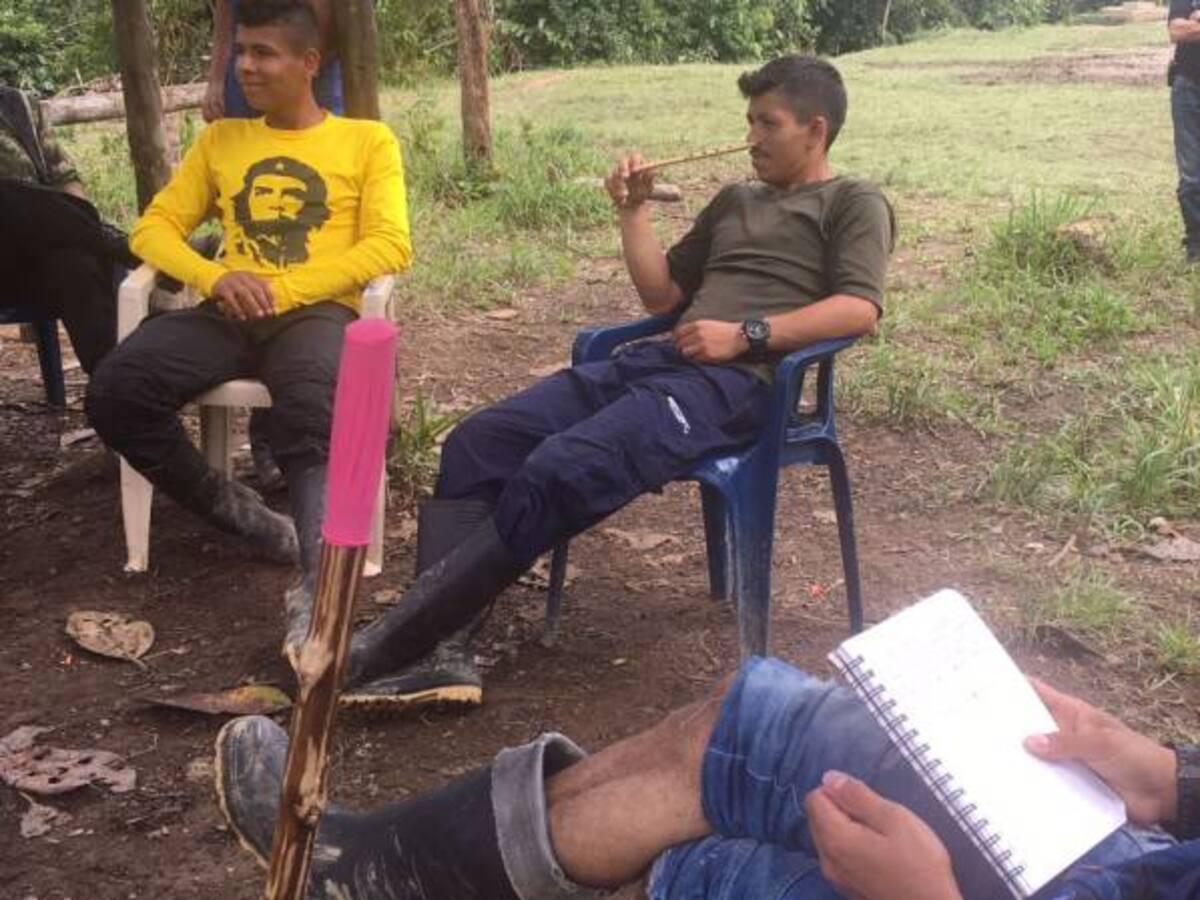Los sueños y miedos de los guerrilleros de las Farc