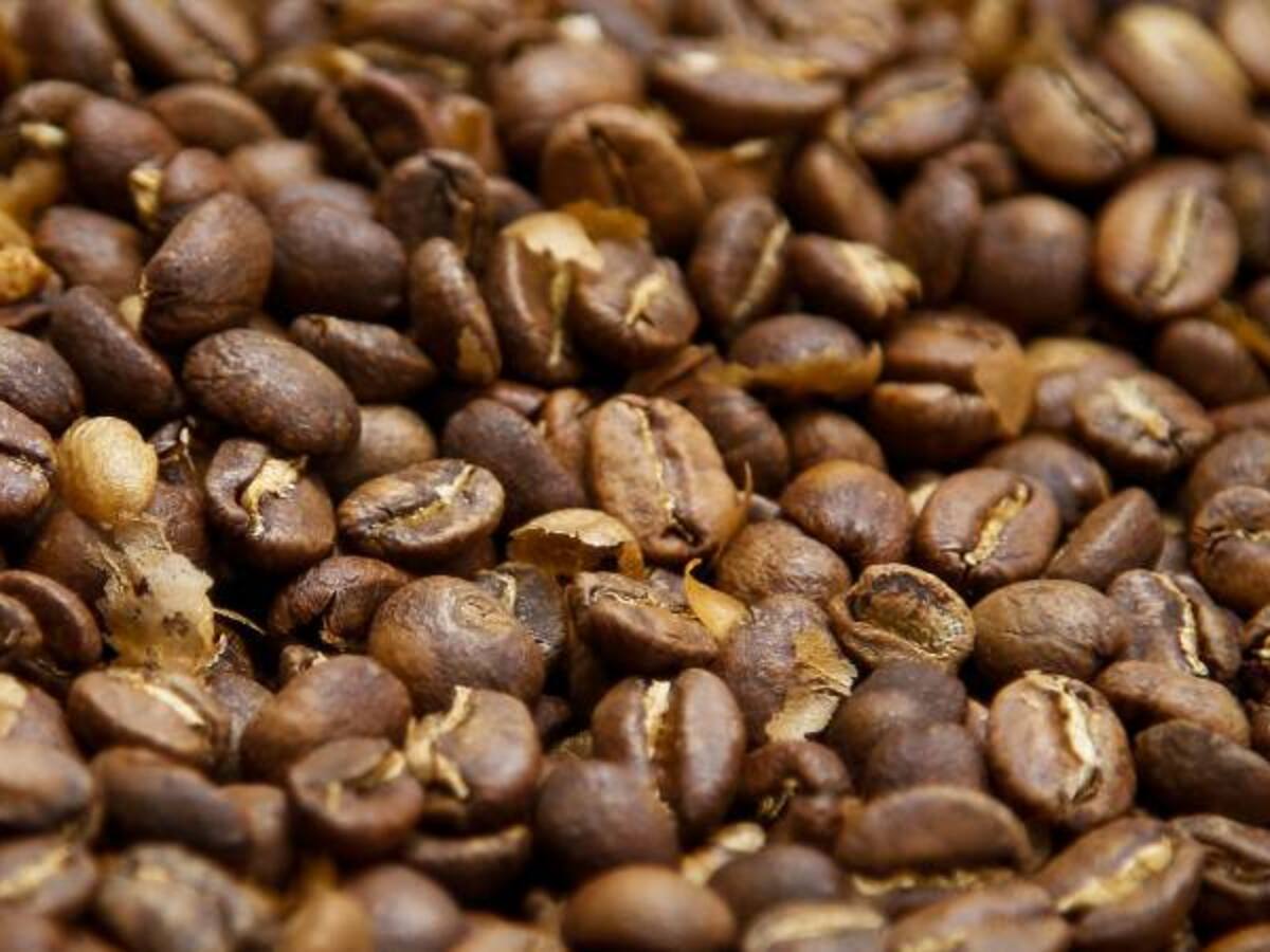 Producción de café llegó en el 2015 a 14,1 millones de sacos