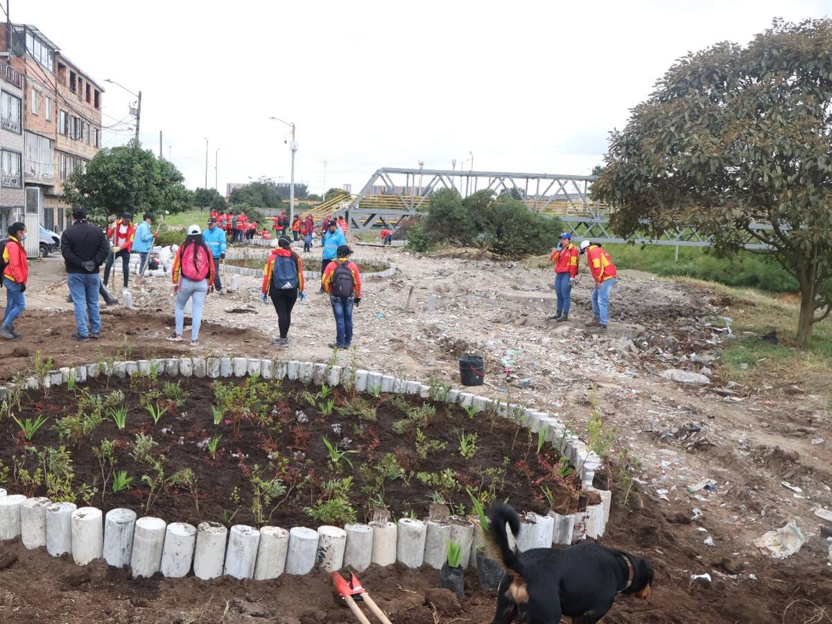 Autoridades recuperan inseguro sendero en el sur de Bogotá