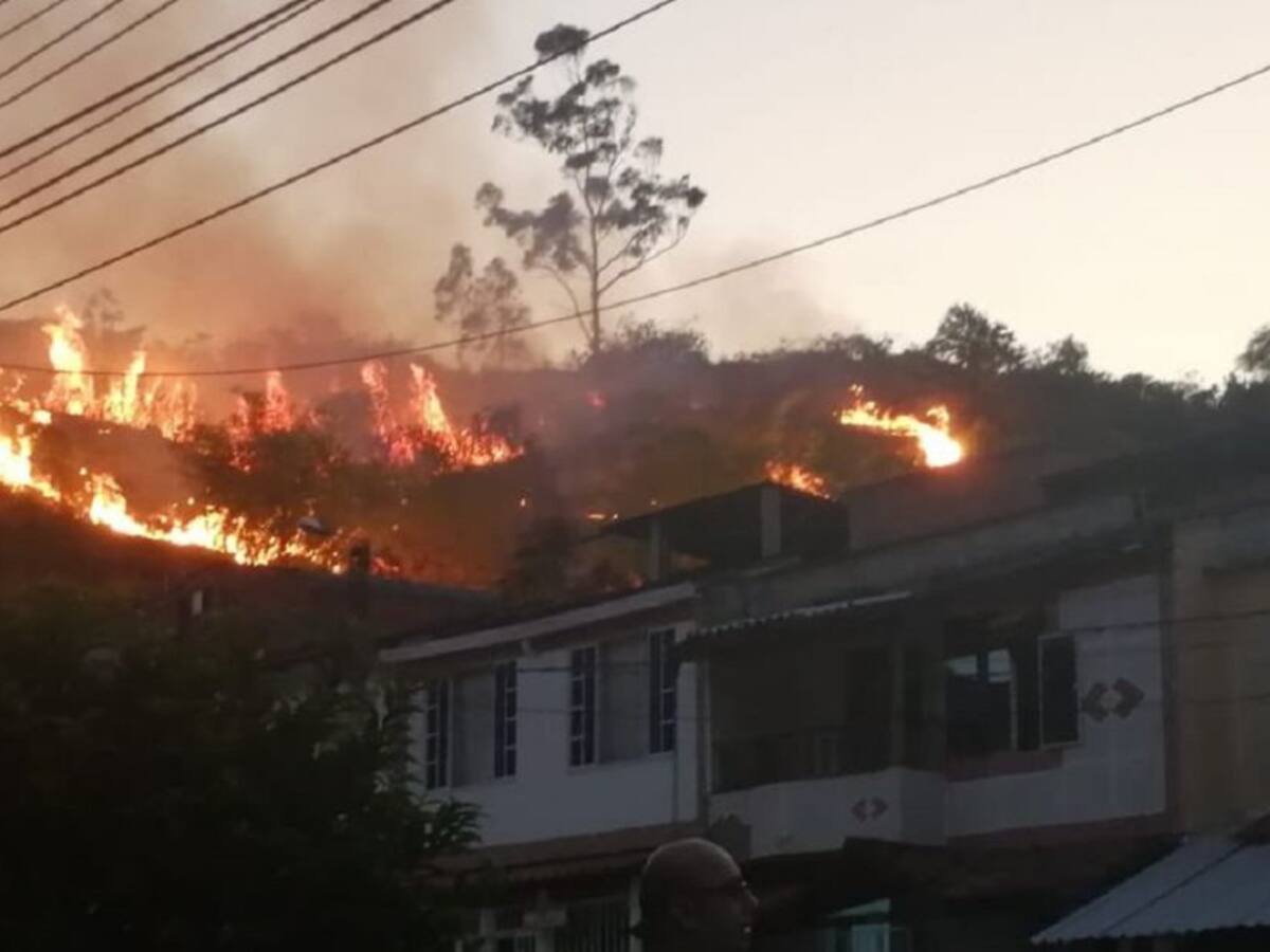 Incendio forestal causa pánico en Santander