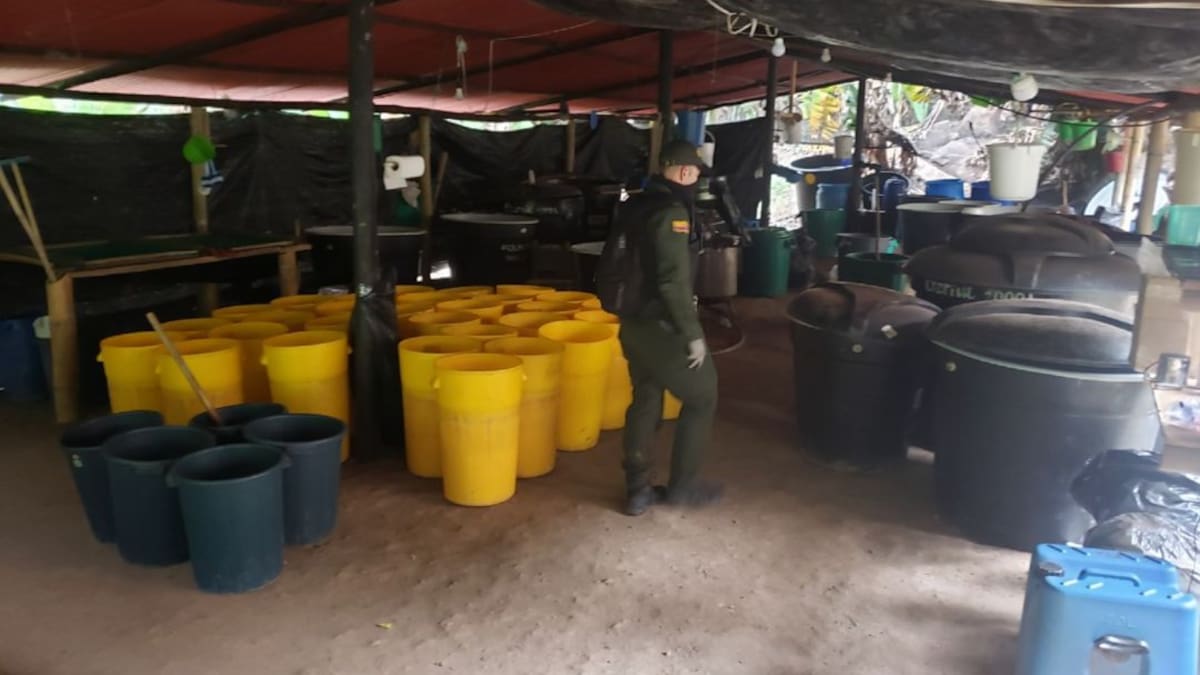 Policía desmantela laboratorio de cocaína en Tolima