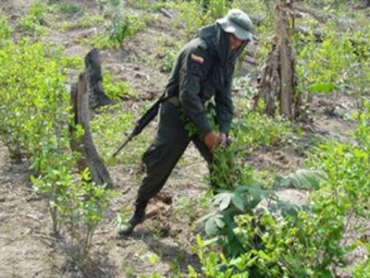 EE.UU. pidió US $319 millones para lucha antidrogas en Colombia