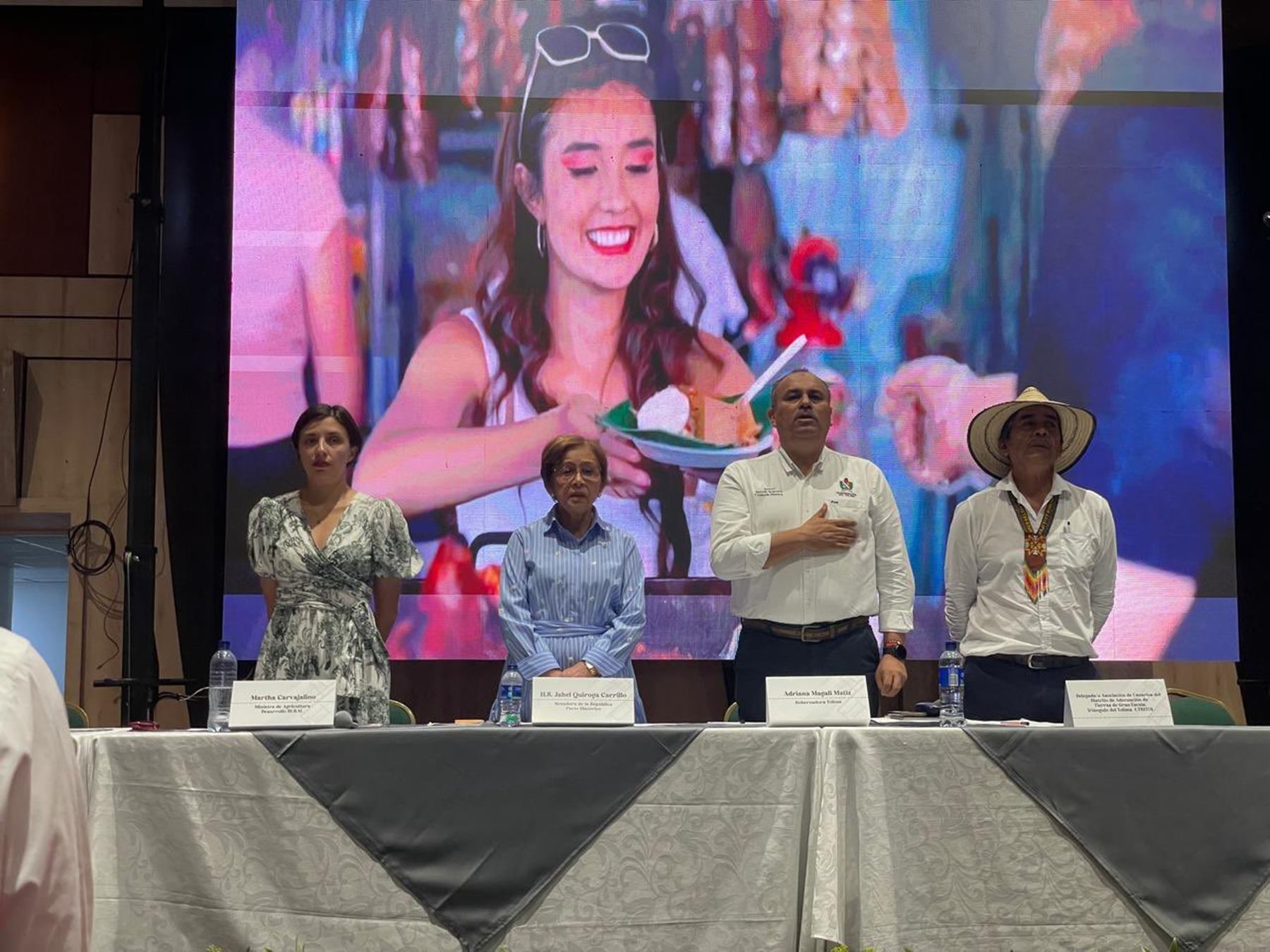 Audiencia Pública Distrito de Riesgo en el Tolima