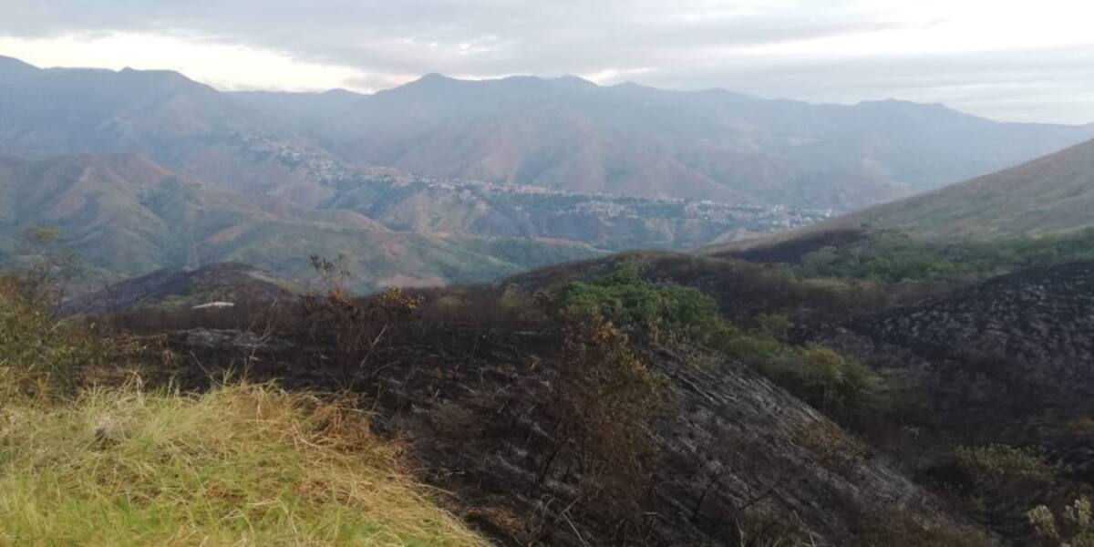 Cerro de Cristo Rey, luego del incendio forestal