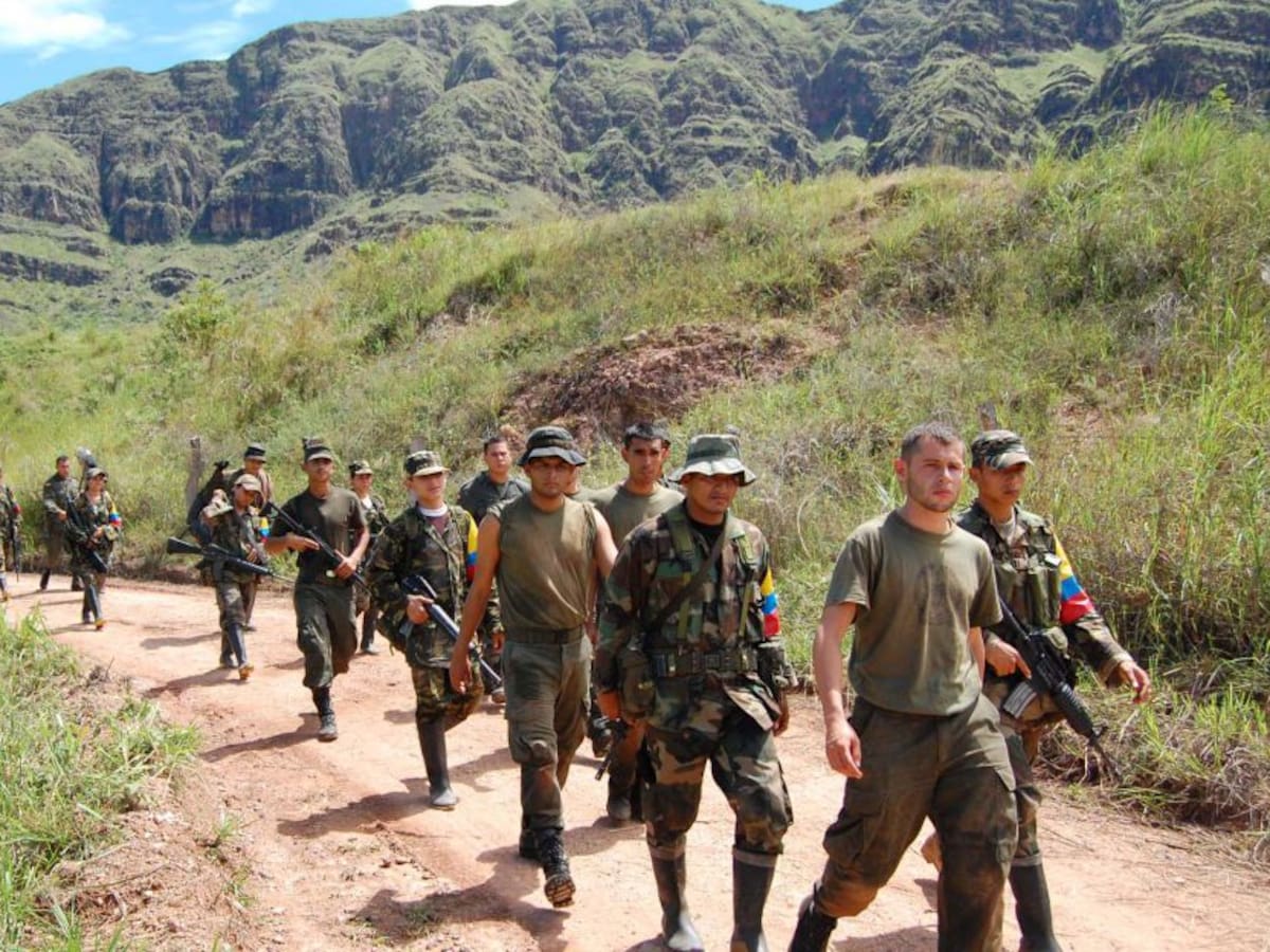 Gobierno anuncia censo a excombatientes de las Farc