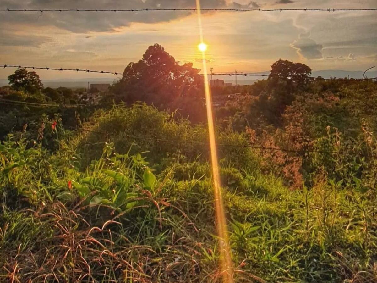 Martes 21 de marzo, las noticias más importantes de Armenia y Quindío