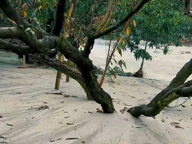 Lluvias dejan viviendas, cultivos y vías afectadas en Cácota, Norte de Santander. / Foto: Alcaldía.
