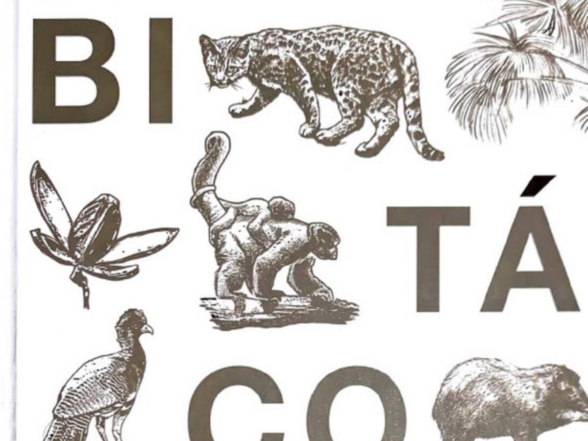 Bitácora del PVS: Territorio, comunidades y conservación