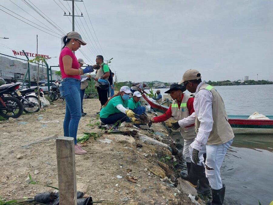 Alcaldía de Cartagena