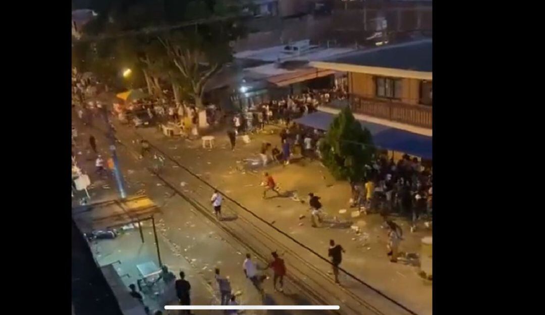 Verbena Ulpiano Lloreda Cali