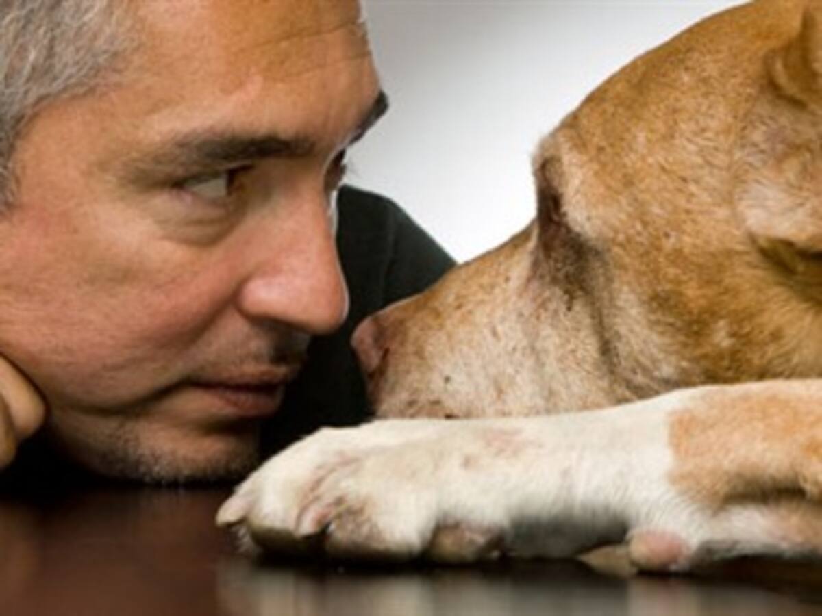 Habla en Caracol Radio Cesar Millán, el “encantador de perros”