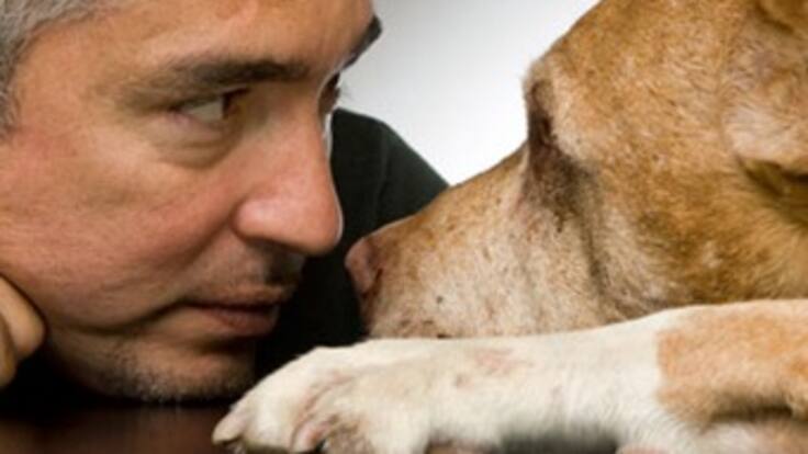 Habla en Caracol Radio Cesar Millán, el “encantador de perros”