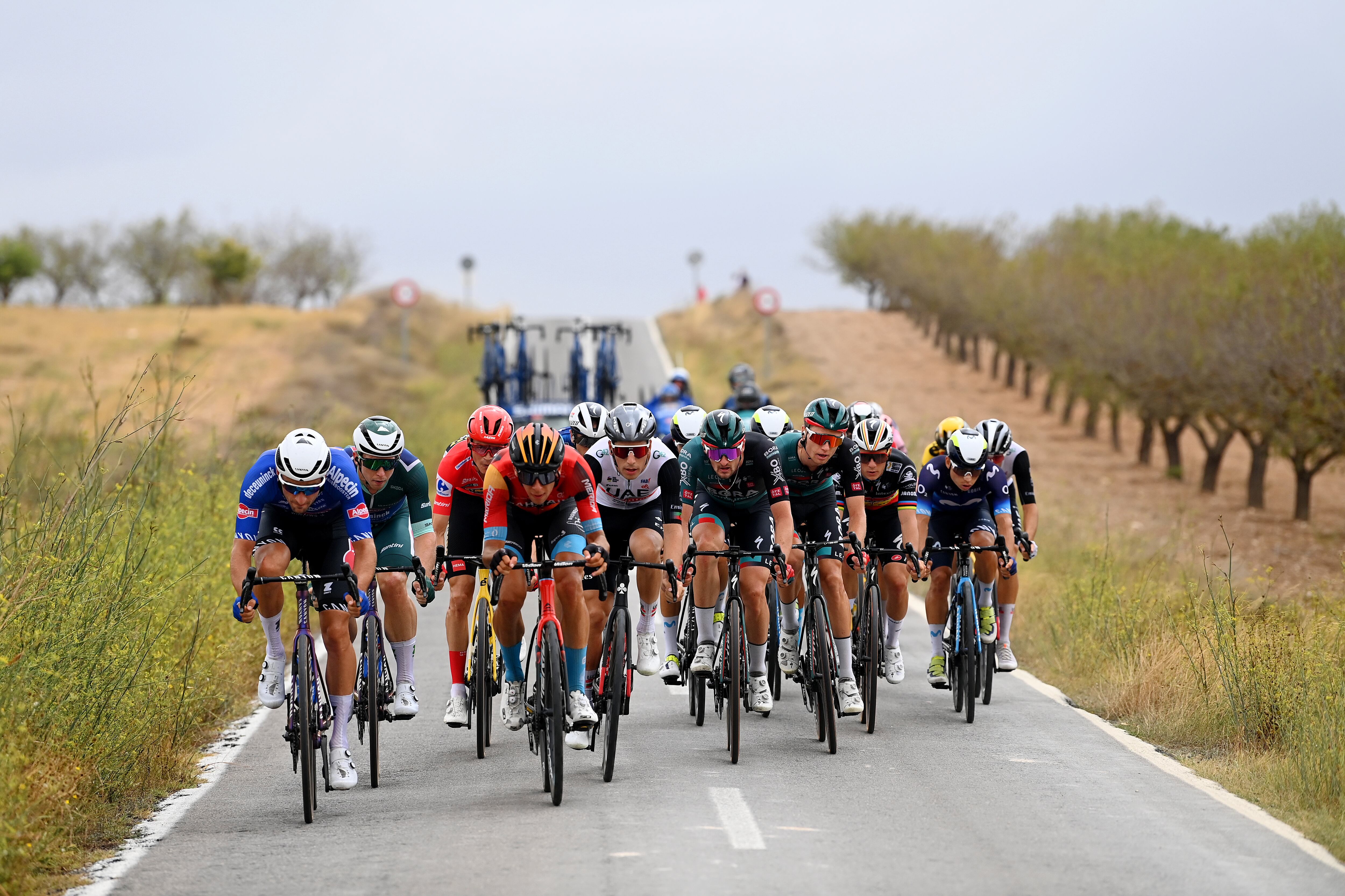 CARAVACA DE LA CRUZ, SPAIN - SEPTEMBER 03: (L-R) Edward Planckaert of Belgium, Kaden Groves of Australia and Team Alpecin-Deceuninck - Green points jersey, Sepp Kuss of The United States and Team Jumbo-Visma - Red Leader Jersey, Antonio Tiberi of Italy and Team Bahrain - Victorious, João Almeida of Portugal and UAE Team Emirates, Nico Denz of Germany, Aleksandr Vlasov of Russia and Team BORA - Hansgrohe, Remco Evenepoel of Belgium and Team Soudal - Quick Step and Einer Augusto Rubio Reyes of Colombia and Movistar Team compete in the chase group during the 78th Tour of Spain 2023, Stage 9 a 184,5 stage from Cartagena to Collado de la Cruz de Caravaca 1089m / #UCIWT / on September 03, 2023 in Collado de la Cruz de Caravaca, Spain. (Photo by Tim de Waele/Getty Images)
