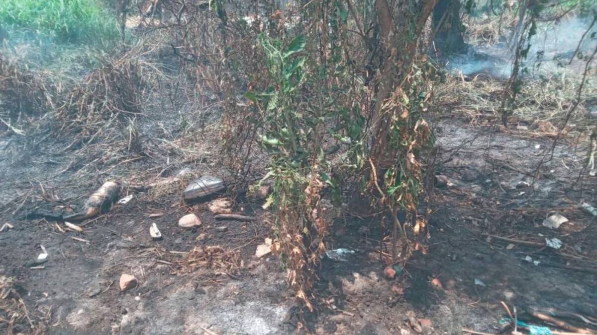 Millonarias pérdidas tras incendio forestal en Mompox