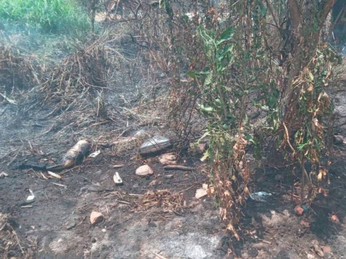 Millonarias pérdidas tras incendio forestal en Mompox