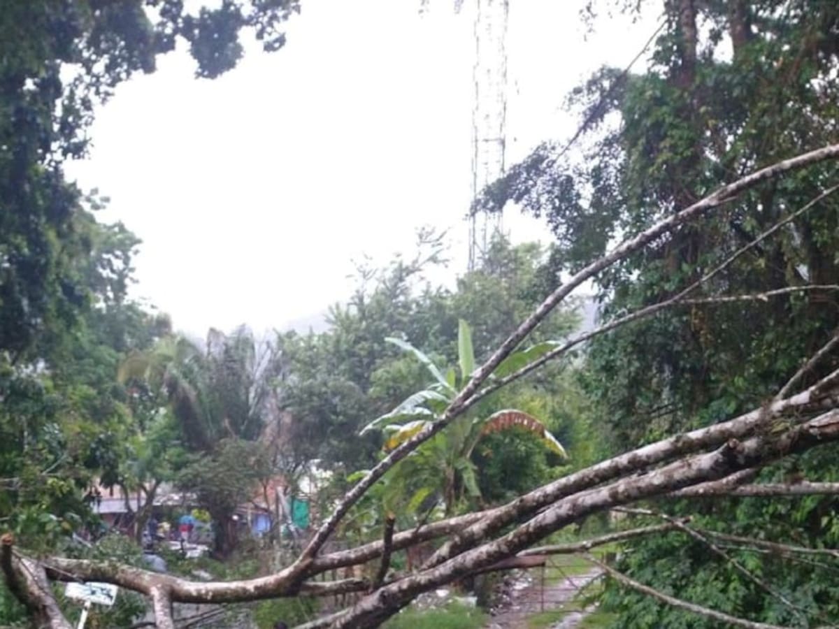 Fuertes lluvias originan emergencias en Ibagué