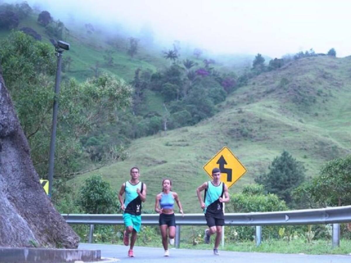 Durante 14 horas estará cerrado el 15 de mayo el Túnel de la Línea