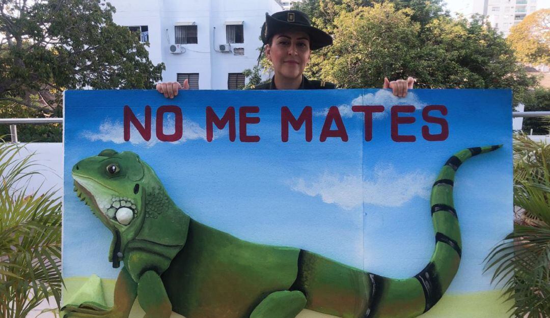 Campaña protección de iguanas