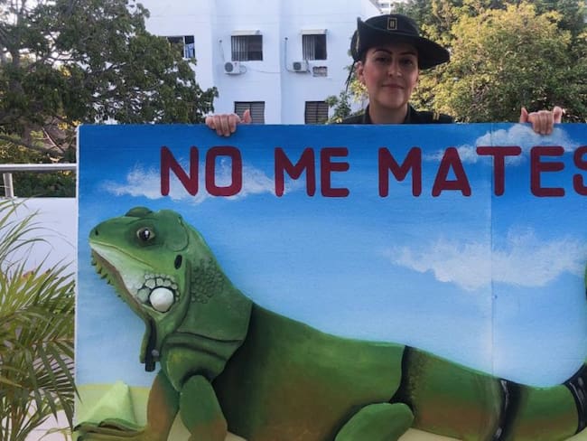 Campaña protección de iguanas
