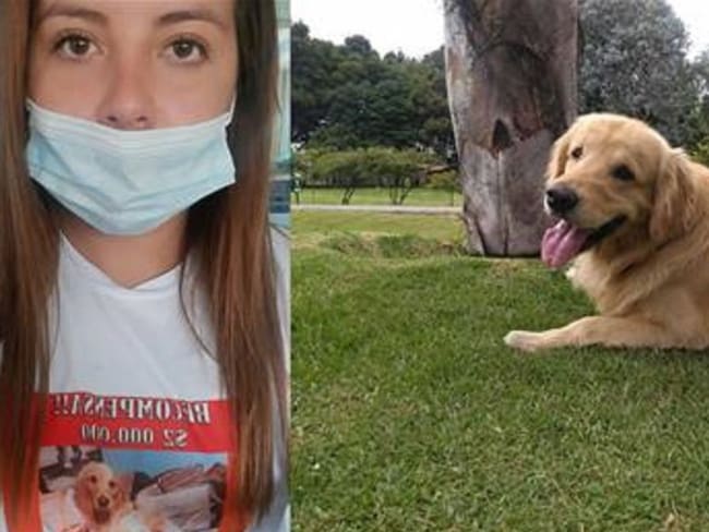 Una mujer deja su vida en Chile para buscar su mascota perdida en Colombia