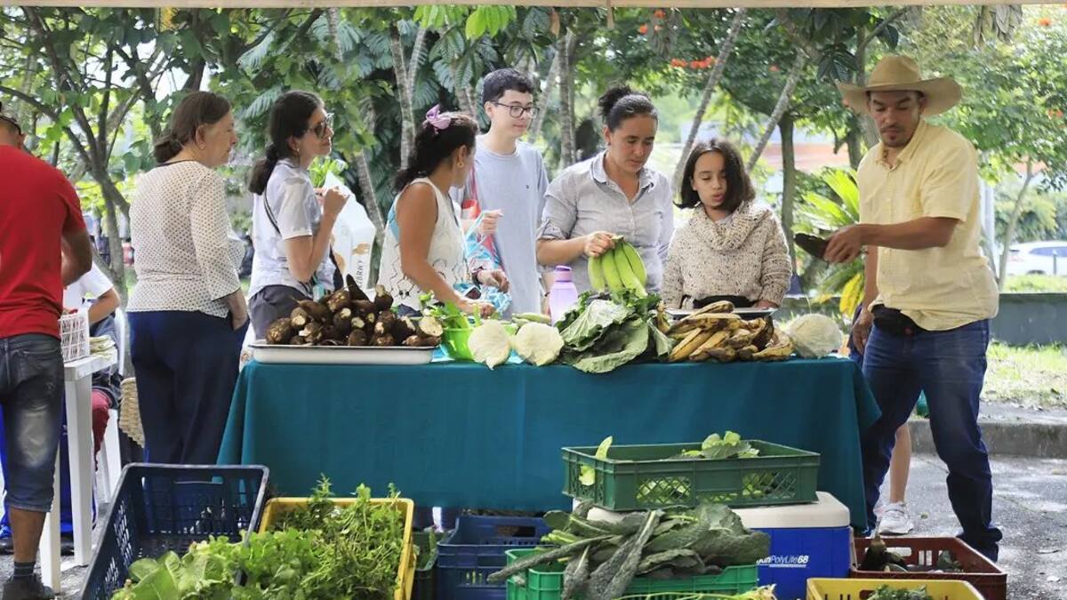 Sebastián Angarita, mercado agroecológico del Quindío