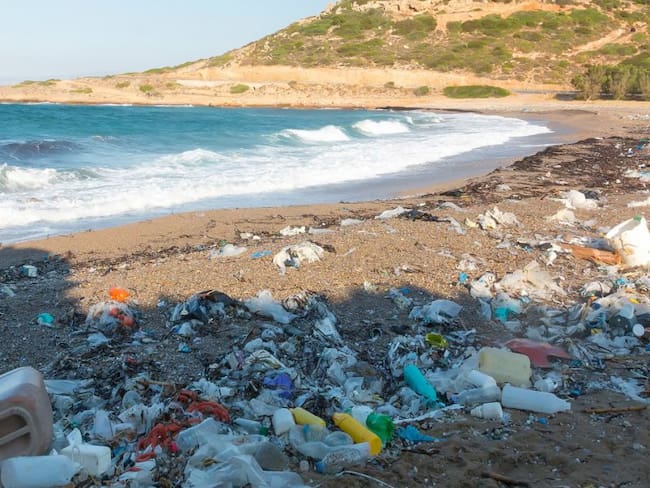 Cada año, 8 millones de toneladas de residuos plásticos son descargados