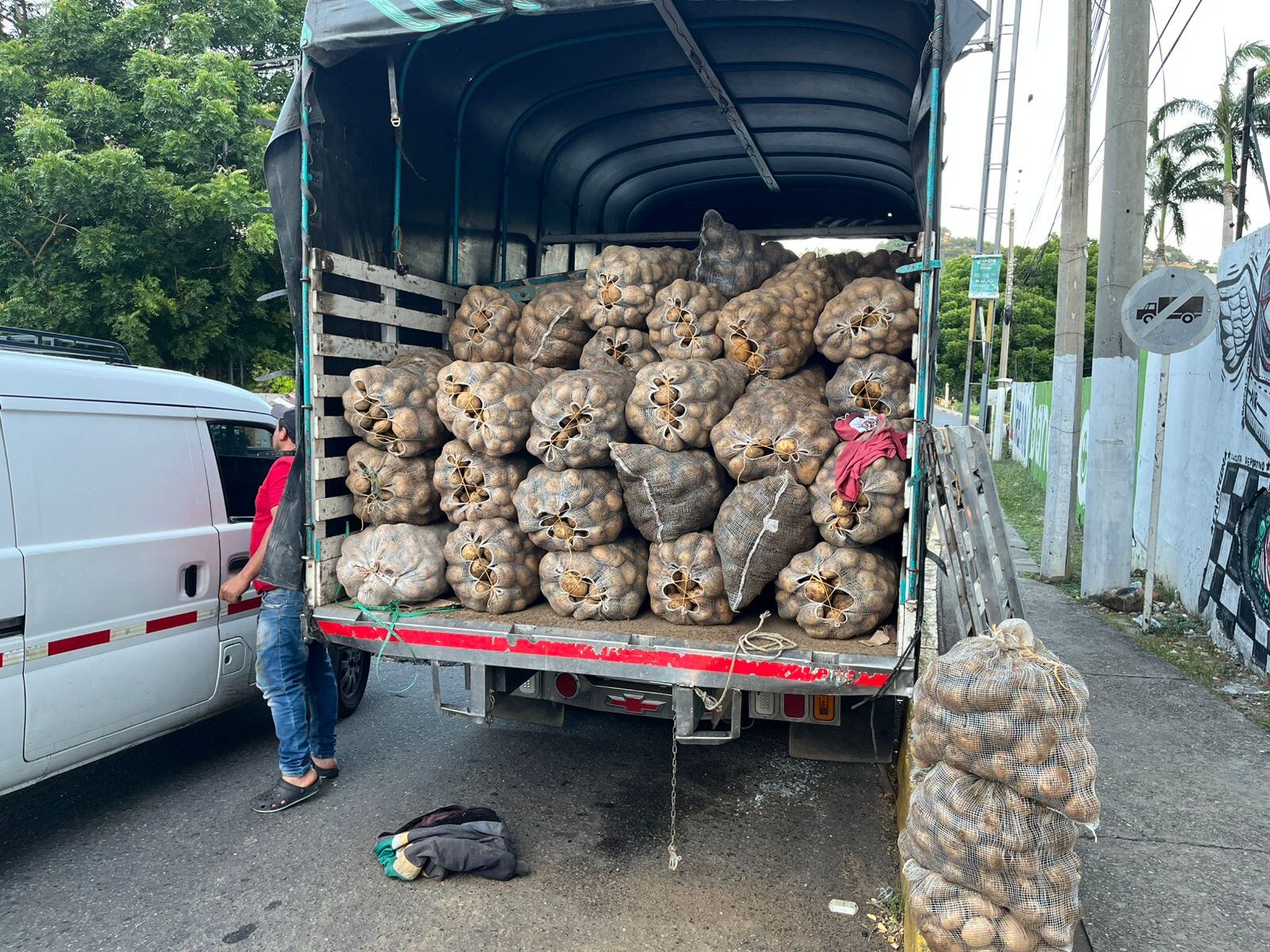 Agricultores de Chitagá y Silos adelantarán papatón hoy en Cúcuta. / Foto: Jenny Márquez.