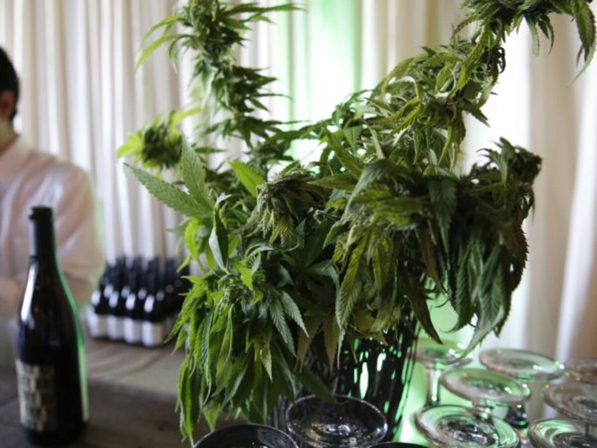 Ahora el cannabis estará en las bebidas alcohólicas