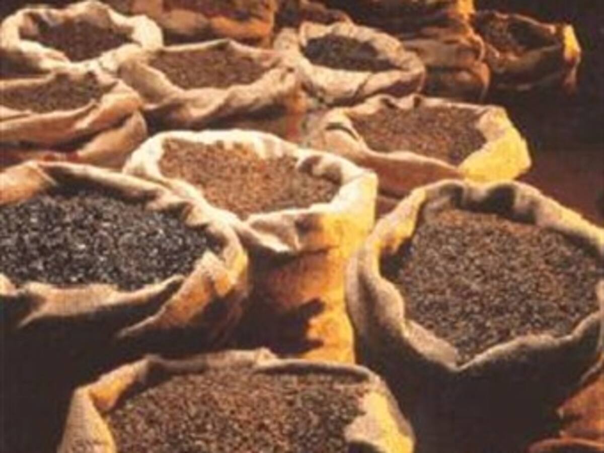 Se desplomó la producción cafetera de Colombia