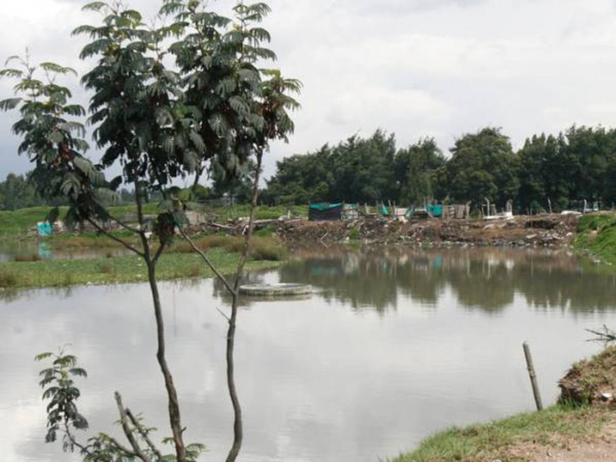 En un 70% se ha cumplido sentencia de recuperación del río Bogotá: MinAmbiente