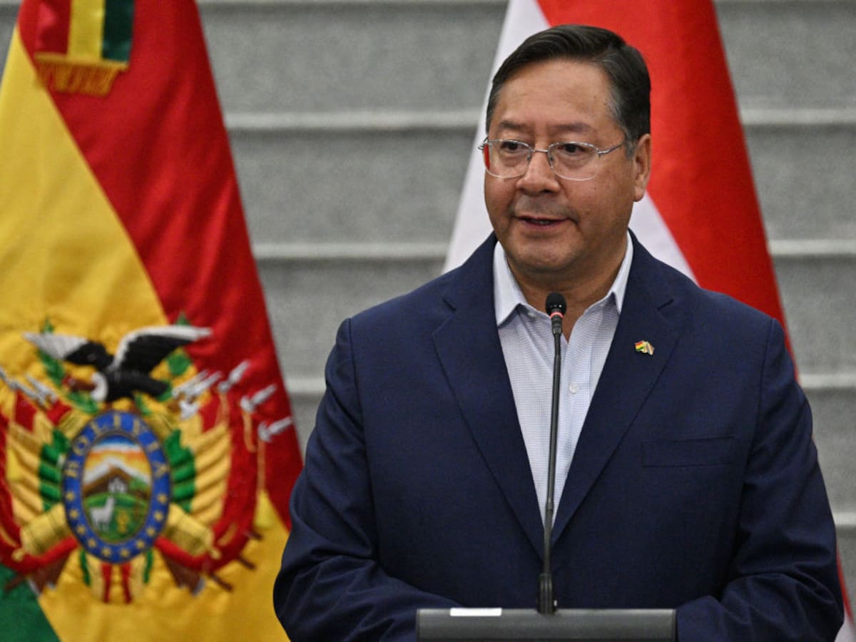 ¿Quién es Luis Arce, el presidente de Bolivia que el Ejército busca derrocar?