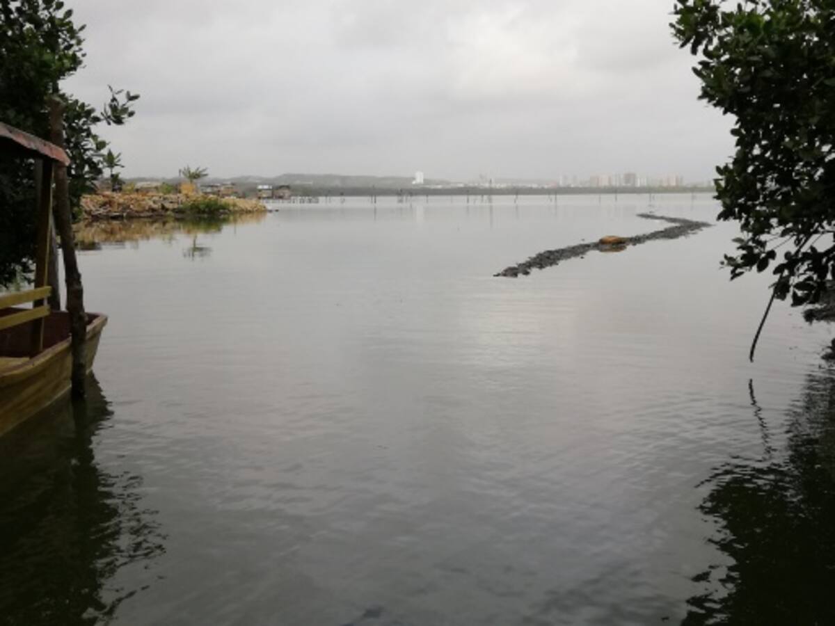 Buscan declarar a Mallorquín como zona especial