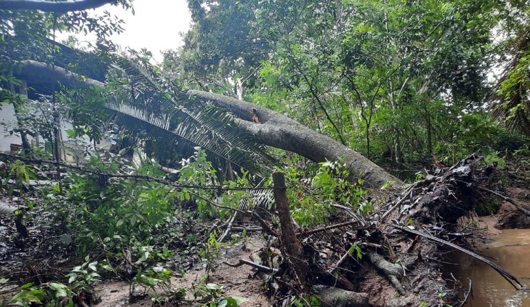 Las emergencias ocurrieron en viaros municipios del Tolima. 