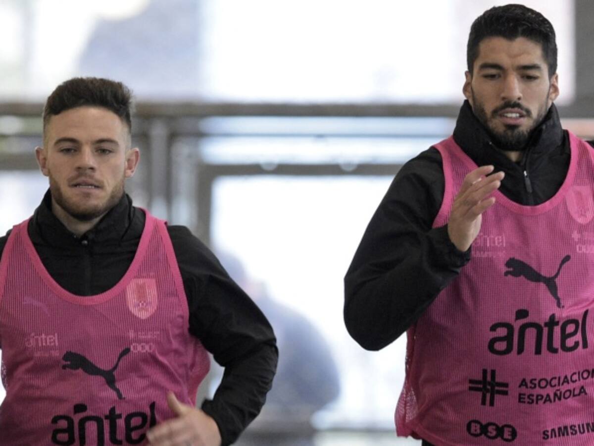 Nandez: "Uruguay está para campeón pero el Mundial hay que jugarlo"