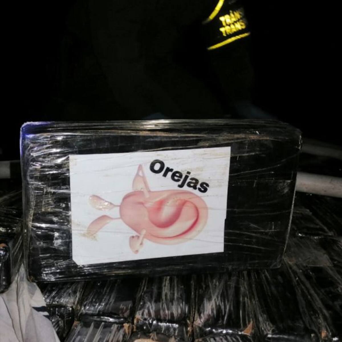 Decomisada más de media tonelada de cocaína en las vías de Caldas
