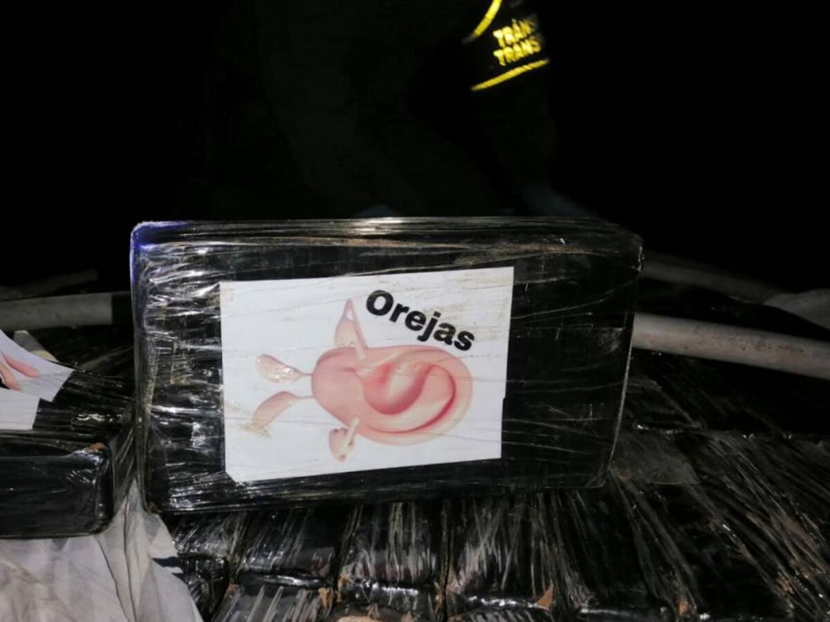 Decomisada más de media tonelada de cocaína en las vías de Caldas