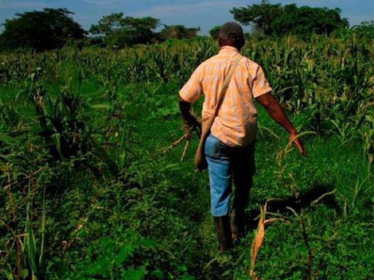 “A mí Sumercé me buscó para que la contara”: Victoria Solano