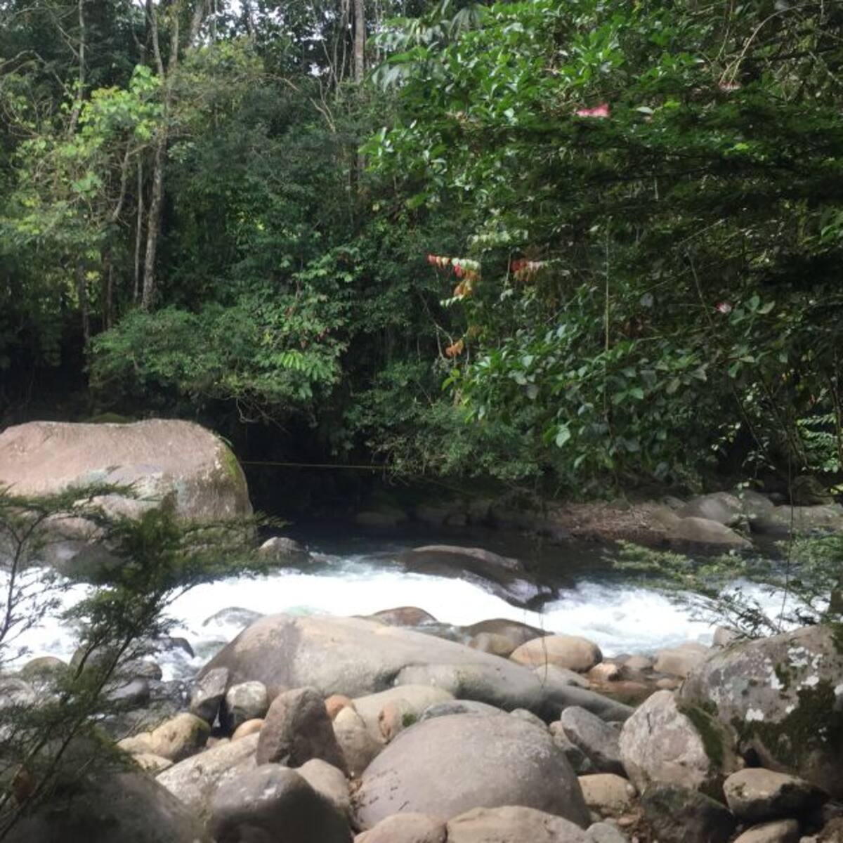 Parques naturales y reservas forestales cerradas en Boyacá por Coronavirus