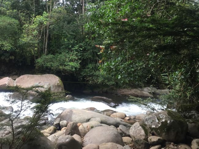 Juez ordena medidas de protección en Parques Naturales en la Amazonía