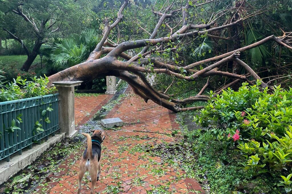 HONG KONG, 02/09/2023.- El supertifón Saola tocó tierra en la provincia suroriental china de Cantón a primera hora del sábado, con fuertes vientos y lluvia dejando un rastro de destrucción e inundaciones en la ciudad de Shenzhen y las vecinas Hong Kong- en la imagen- y Macao que obligó a millones de personas a refugiarse. A pesar de que había amenazado con convertirse en una de las tormentas más devastadoras en azotar Hong Kong en décadas -las autoridades locales izaron la alerta máxima por primera vez en cinco años-, Saola recaló al sur de la antigua colonia británica tras ser degradado de supertifón a tifón severo. -EFE/Mar Sánchez-Cascado
